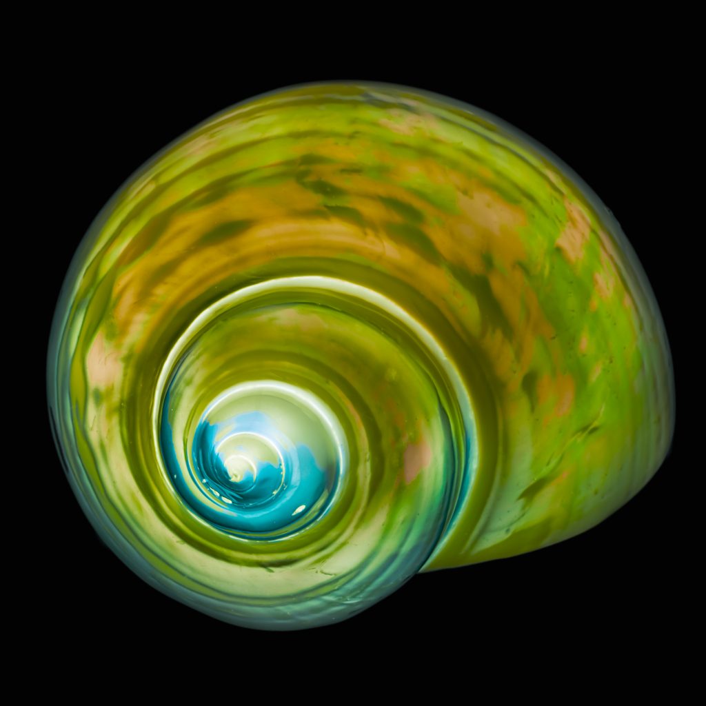 Mediterranean Snail II © Julian Köpke